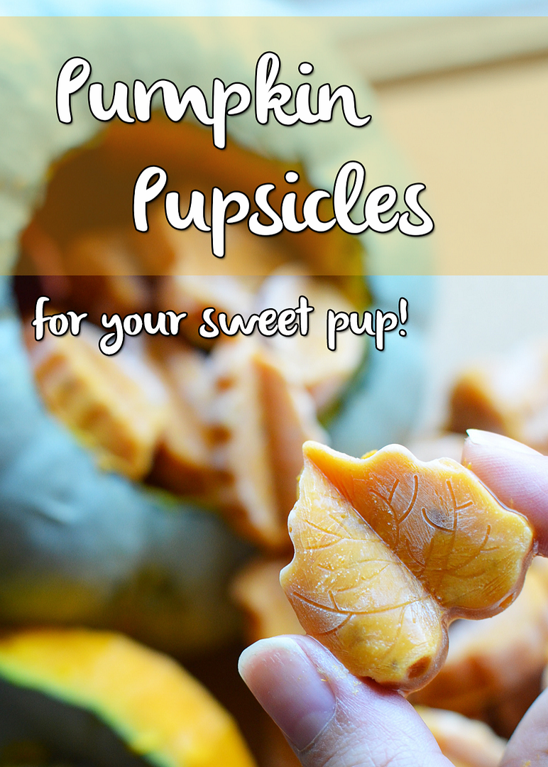 awesome Frozen Pumpkin Yogurt Peanut Butter Dog Treats